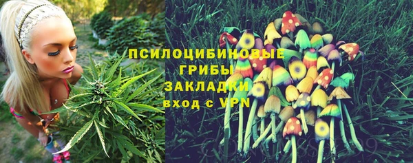 спайс Осташков