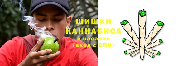 мет Пересвет