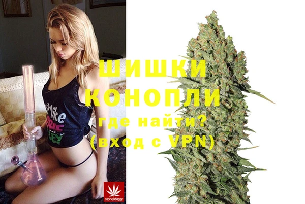ALPHA PVP Осинники