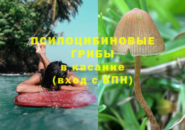 mdma Пестово