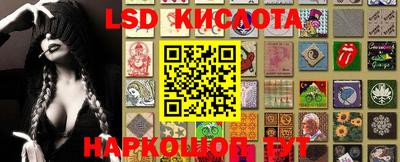 СК Волгодонск