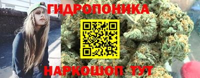 ешки Абакан