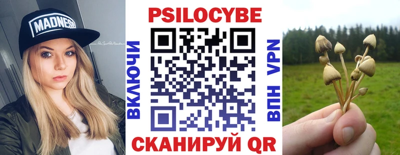 Галлюциногенные грибы мухоморы  где купить наркоту  Майкоп 